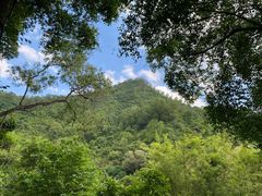 -大雁山风景区