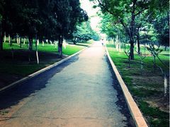 iphone_upload_pic-甘井子公园