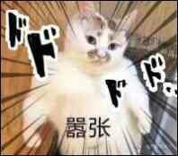 -中田健身工作室(胜利门店)