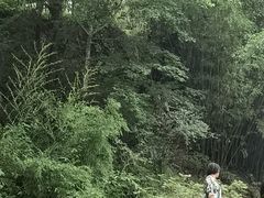 -武夷山风景名胜区-玉女峰