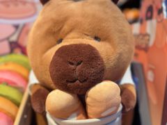 -酷乐潮玩(五道口购物中心店)