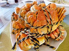 阳澄湖大闸蟹-乡乐园蟹庄·阳澄湖农家乐