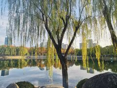 -后襄河公园
