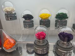 -ROSEONLY诺誓(广州K11店)