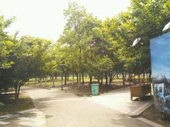 -蠡湖大桥公园