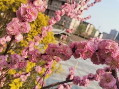 -迎泽公园