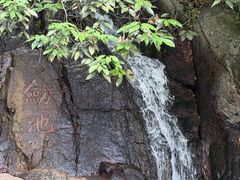-莫干山风景区