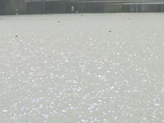 -羊山湖公园