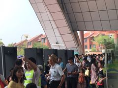 -灵玲国际马戏城