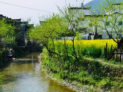 -婺源风景区