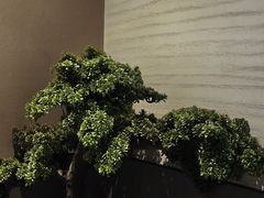 -上足·影院足道·SPA(红岭店)