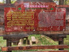 -东平国家森林公园