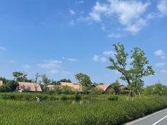 -良渚古城遗址公园