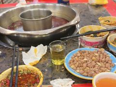 -金鼎雪山牦牛杂火锅(理县总店)