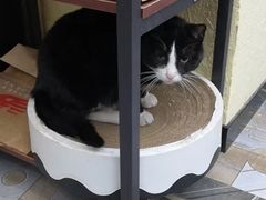 -微光私人影院(巴南万达店)