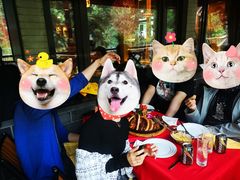 -申德勒加油站西餐厅(日坛路总店)