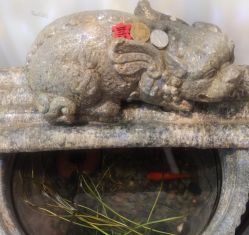 -爱空间美睫健康美甲