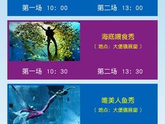 -皇家海洋乐园