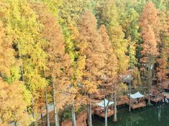 -波尔登森林公园