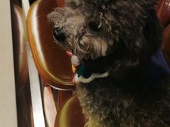 -默迹咖啡馆