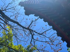 -宣武艺园