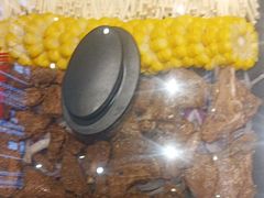 -徽三说·土徽菜·中国徽菜连锁品牌(一中店)