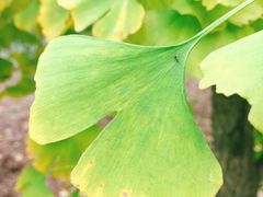 -金堂县云顶石城风景区