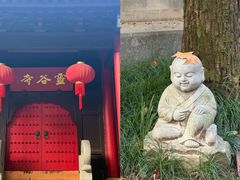-灵谷景区