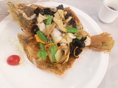 多宝鱼二吃-鹭园酒家·四十年老字号