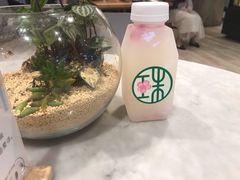 -宝珠奶酪(浦东金桥店)