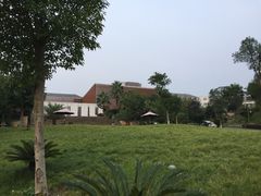 -洪湖悦兮半岛国际温泉度假村