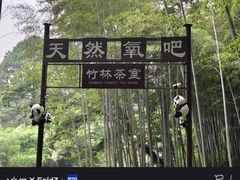 -宝岩生态观光园