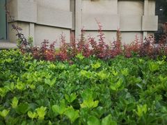 门面-中国银行(大连市分行)