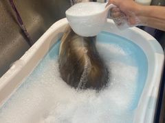 -PETKIT小佩宠物·低压洗护(国顺东路店)