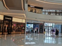 -TESLA 特斯拉(郑州正弘城体验店)