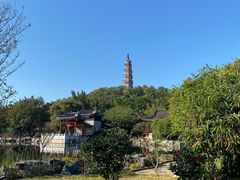 -顺峰山公园