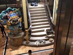 -more than meow吴止猫主题餐厅(承德 中船汇店)