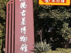 -洛阳古墓博物馆