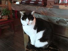 -BUND·FIVE外滩5号(天际店)