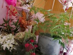 -蝶舍·MAISON PAPILLON