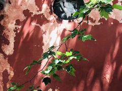 -丝绸小镇荻港古村