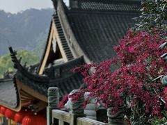 -杭州上天竺法喜讲寺