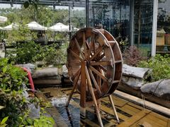 -花溪雨·森林餐厅(石基店)