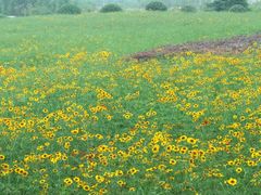 -中国矿业大学（南湖校区）-图书馆