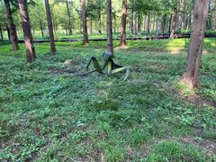 -黄海国家森林公园