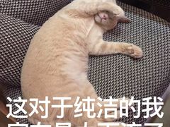 -猫咖时代(中山亭店)