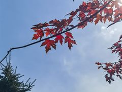 -沈阳市东陵公园