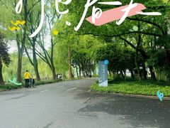 -鲁镇