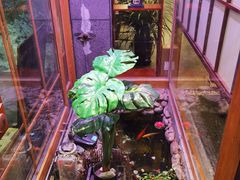 -樱之味精致料理融合餐厅