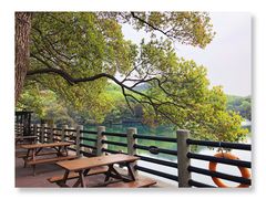 -白马涧龙池景区